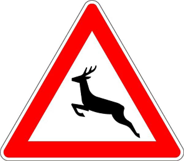 Verkehrszeichen VZ 142-10 Wildwechsel Aufstellung rechts