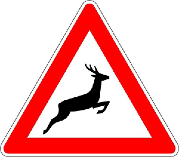 Verkehrszeichen VZ 142-20 Wildwechsel Aufstellung links