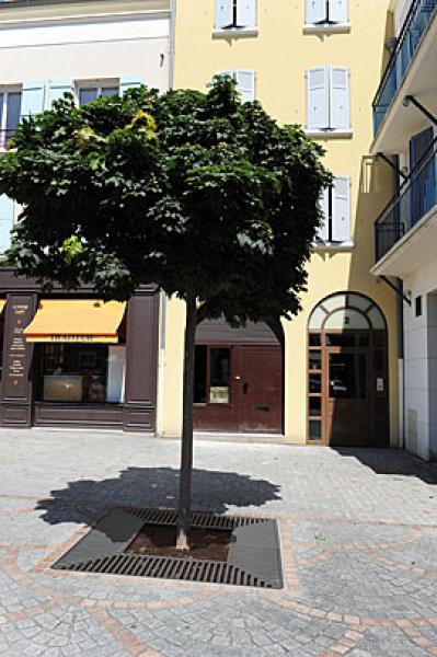 Baumroste aus massivem Stahl